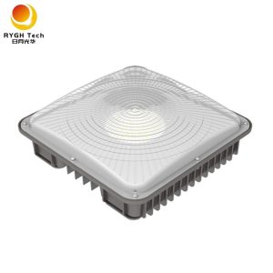 LED Canopy Light