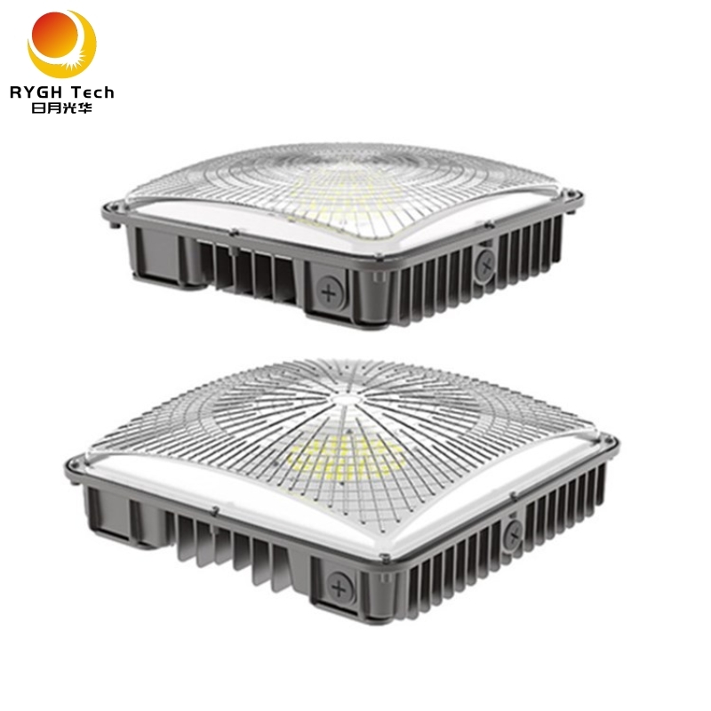 1g led canopy light03 interior canopy lights