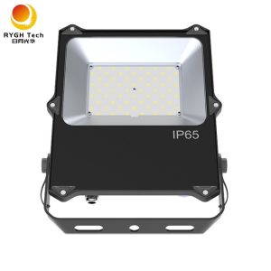 motion detector flood light