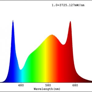 buy grow lights