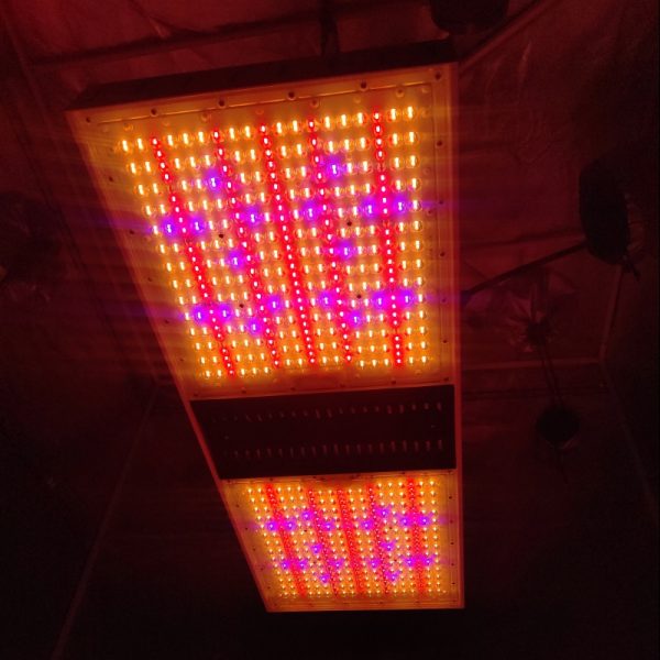 924W top lighting led grow light