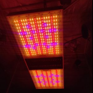 924W top lighting led grow light