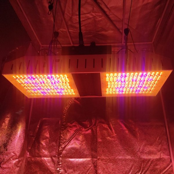 924W top lighting led grow light