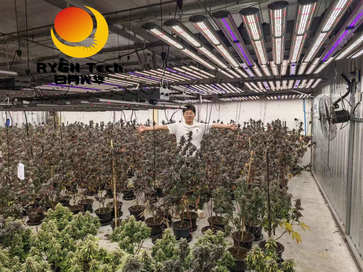 1.1m 10 bars 860W LED Grow light 10