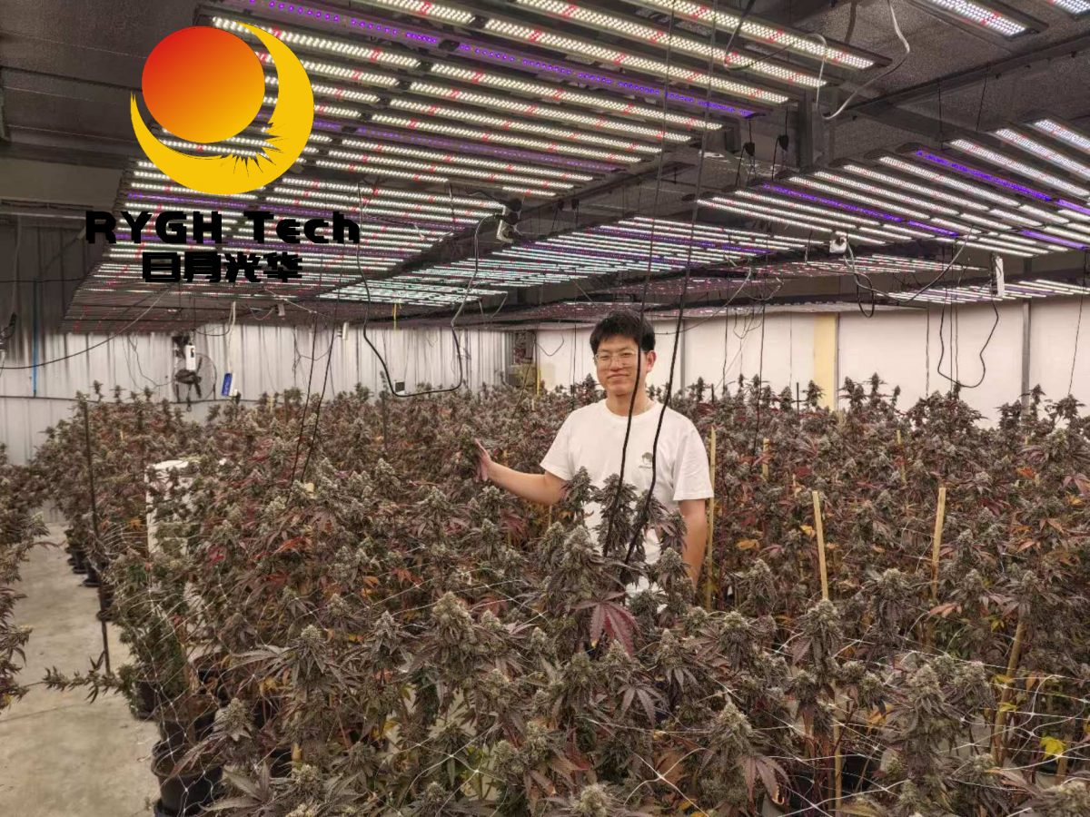 1.1m 10 bars 860W LED Grow light 11