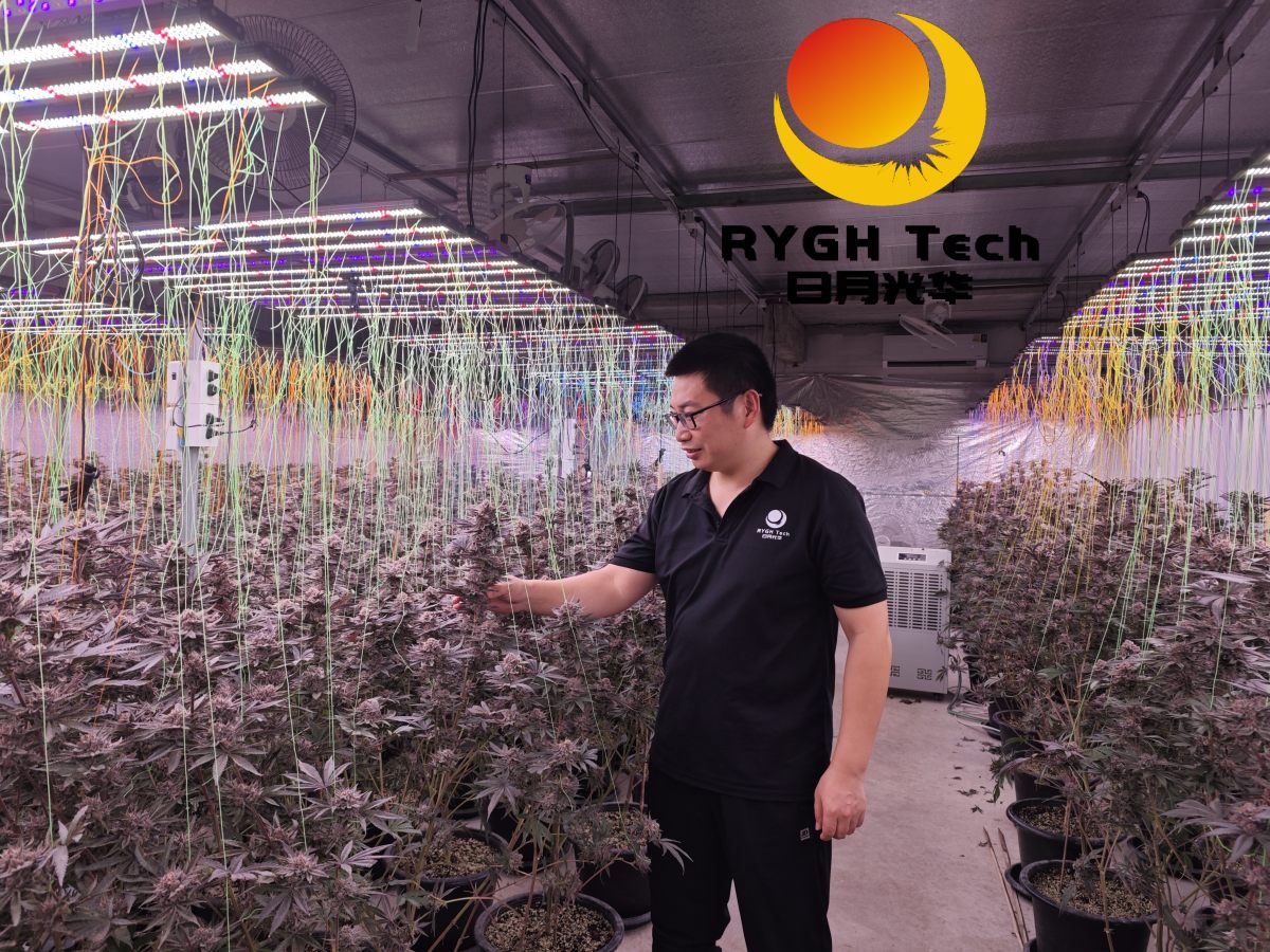 1.1m 10 bars 860W LED Grow light 7