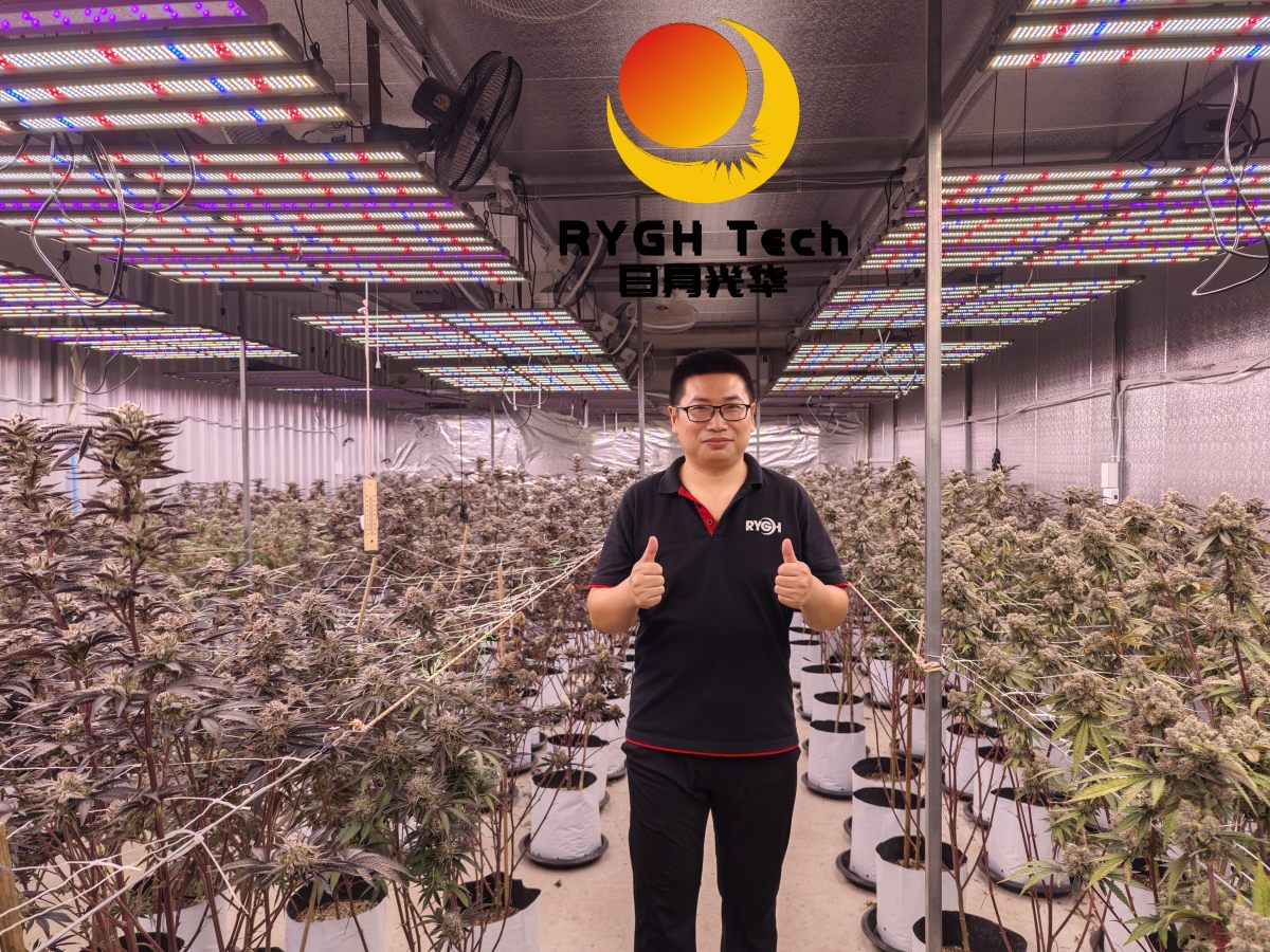 1.1m 10 bars 860W LED Grow light 8