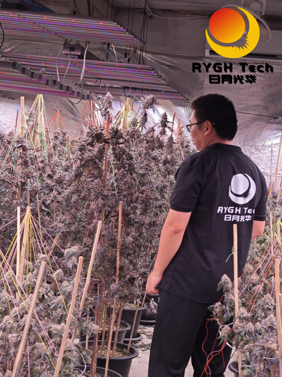 1.1m 10 bars 860W LED Grow light 9