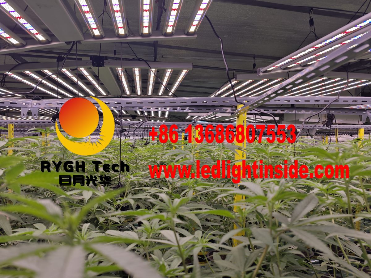 1.1m 10 bars foldable led grow light 10