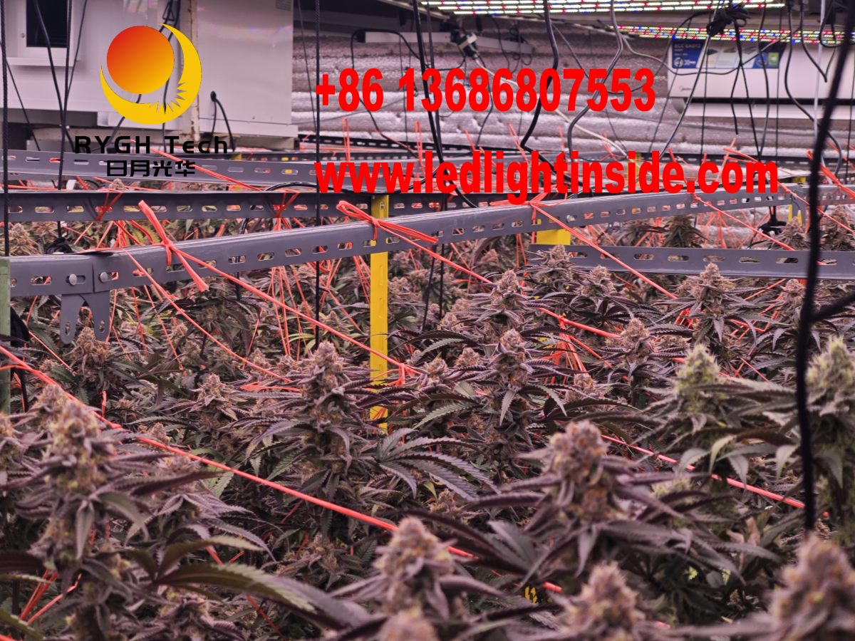 1.1m 10 bars foldable led grow light 12