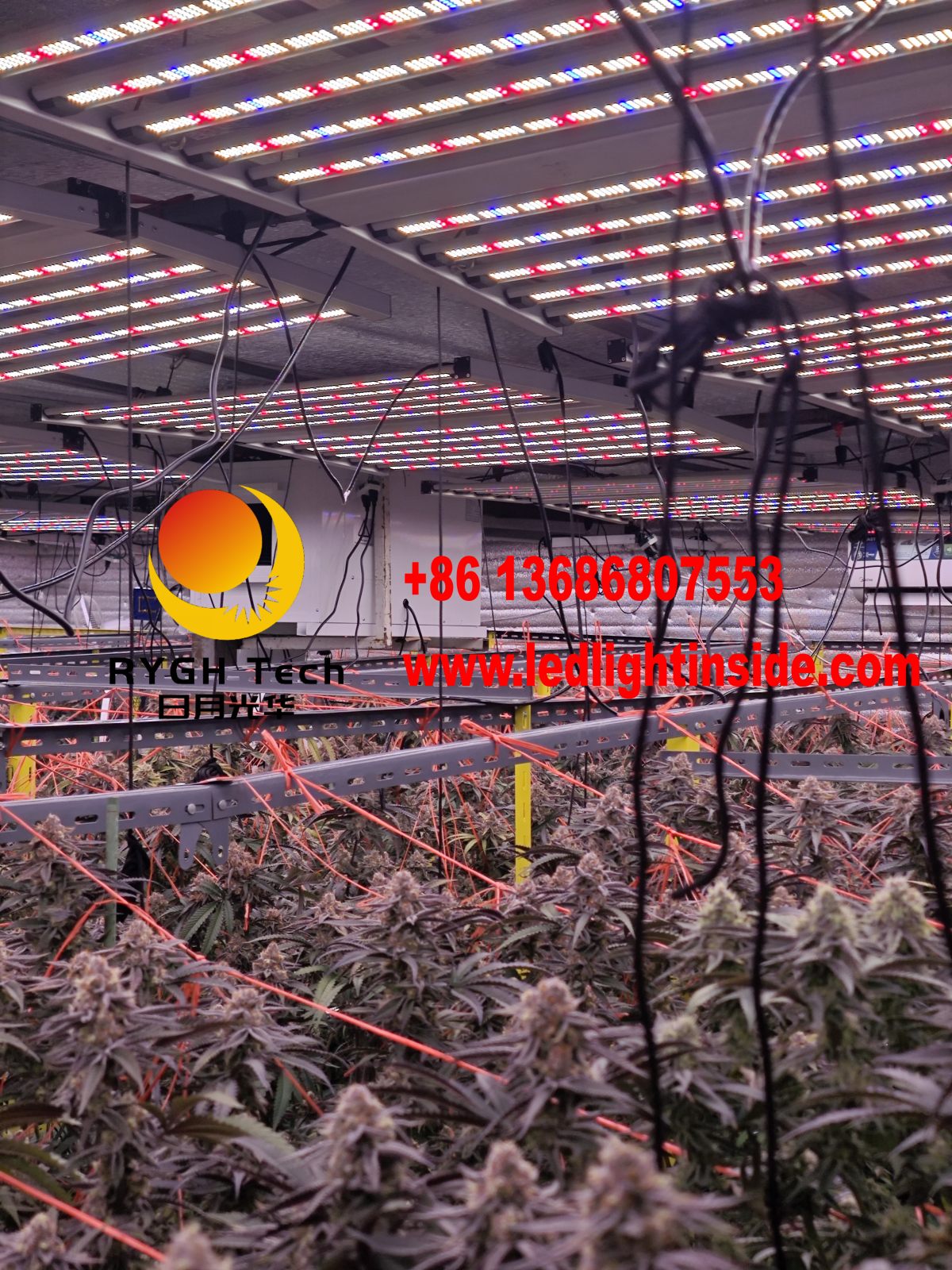 1.1m 10 bars foldable led grow light 15