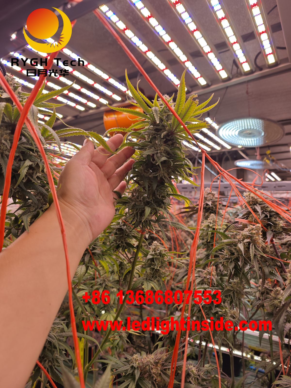 1.1m 10 bars foldable led grow light 18