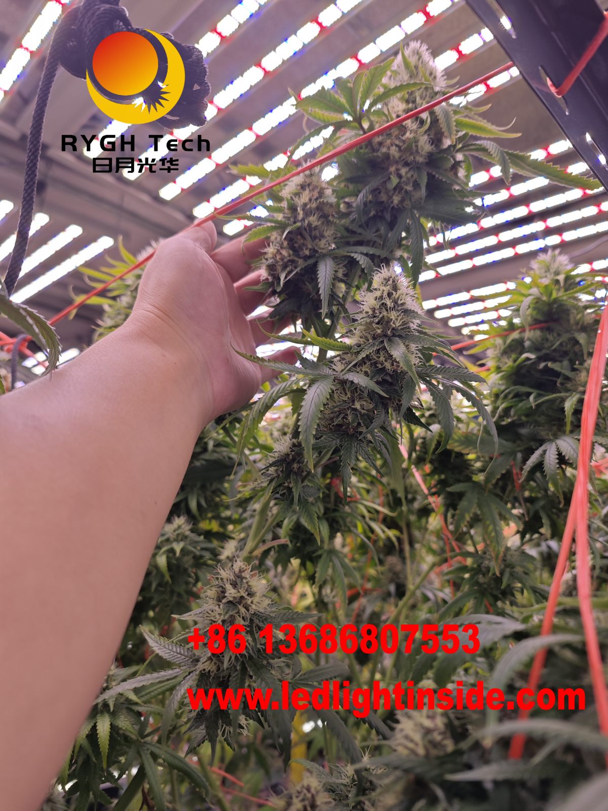 1.1m 10 bars foldable led grow light 21