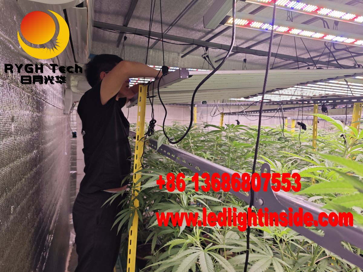1.1m 10 bars foldable led grow light 8