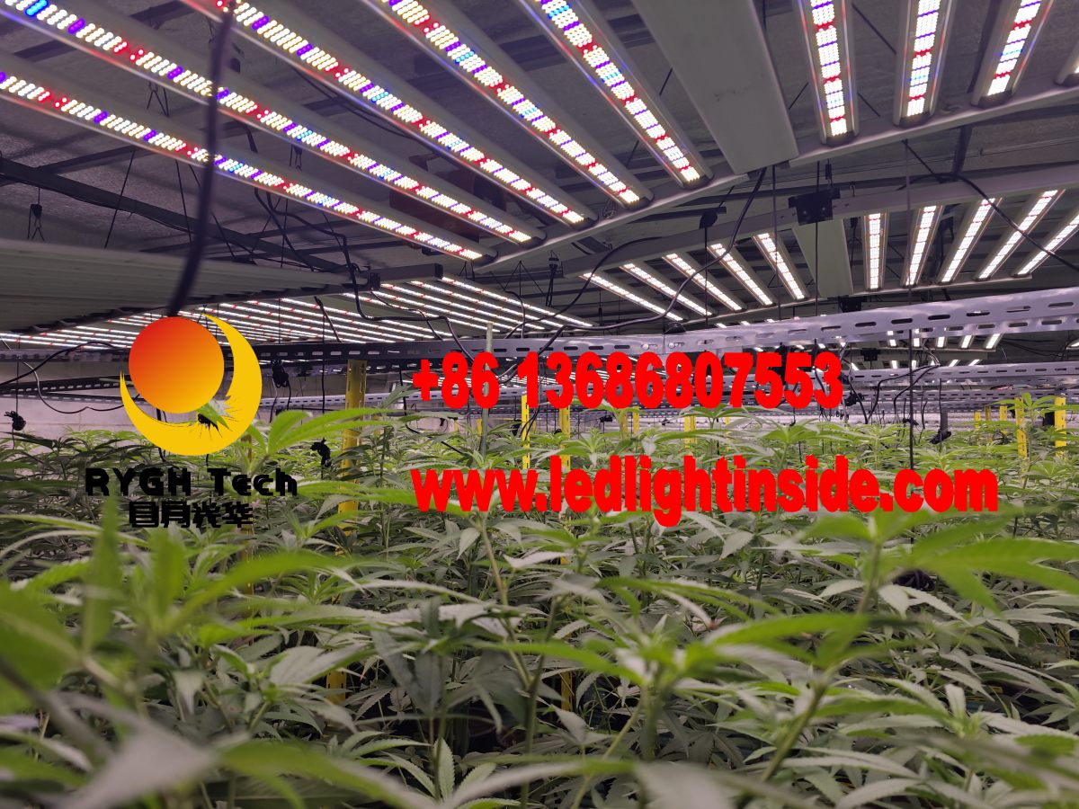 1.1m 10 bars foldable led grow light 9