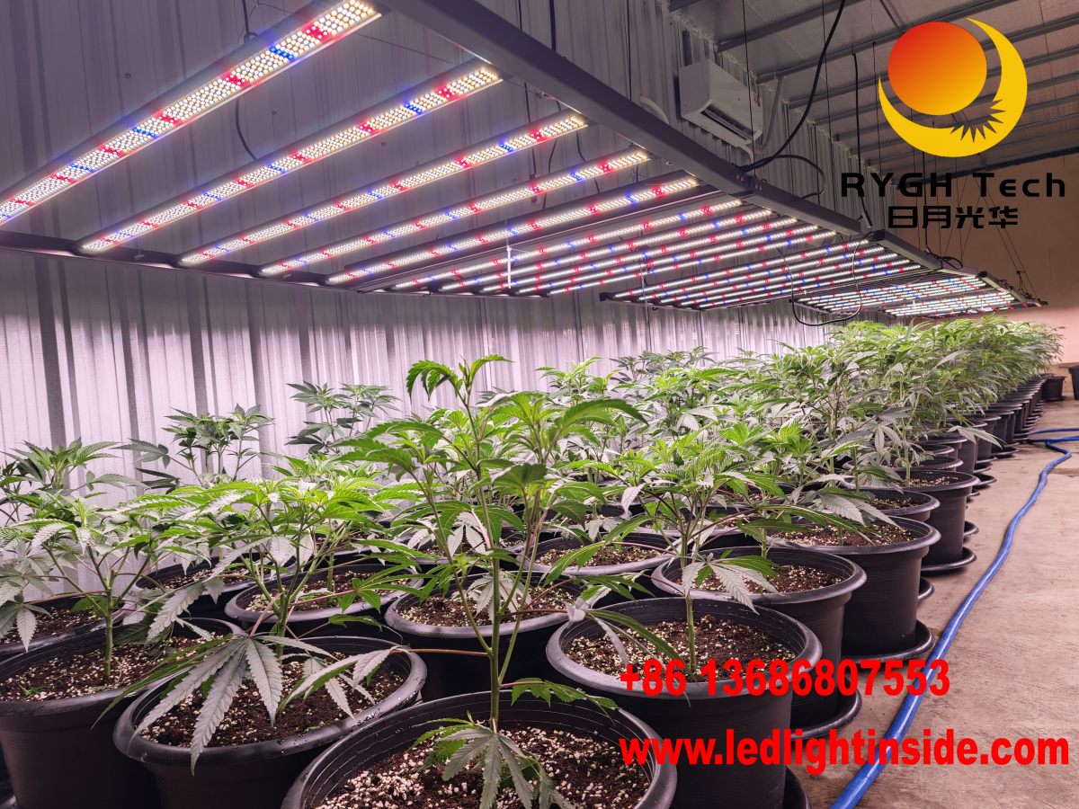 1.8m 1000W Foldable led grow light 10