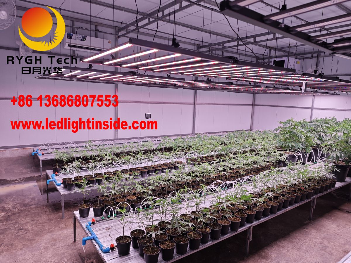 1.8m 1000W Foldable led grow light 11