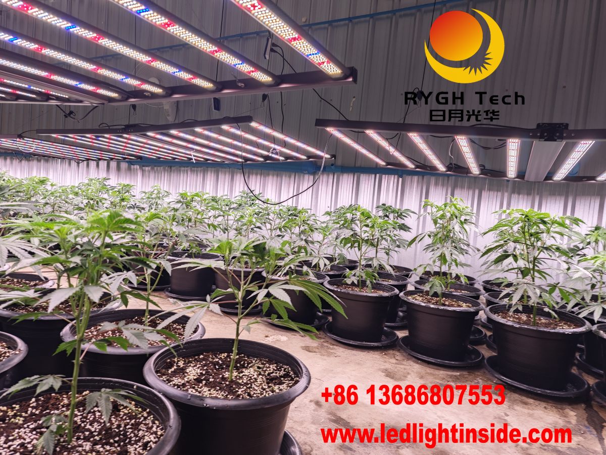 1.8m 1000W Foldable led grow light 8