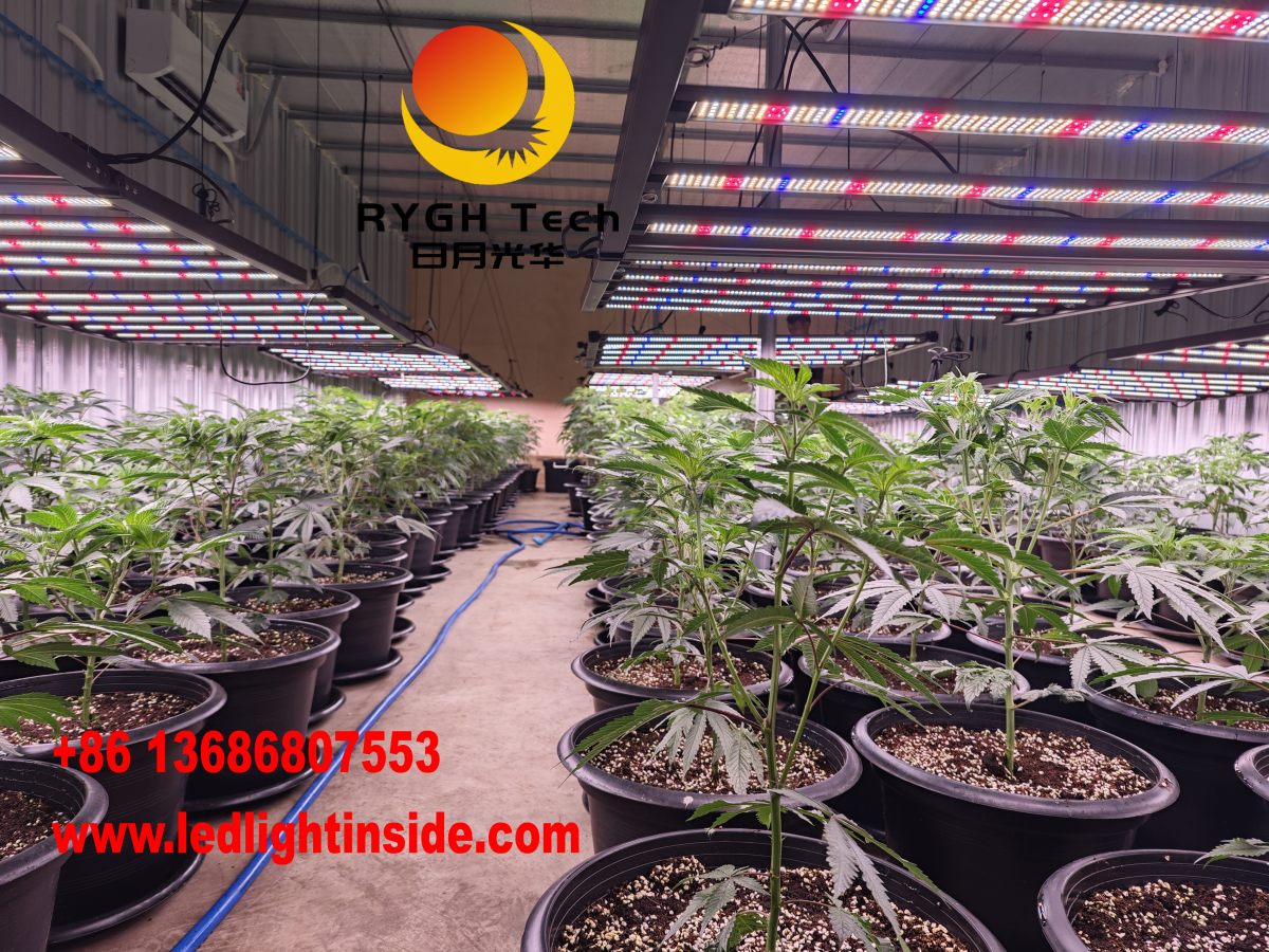 1.8m 1000W Foldable led grow light 9