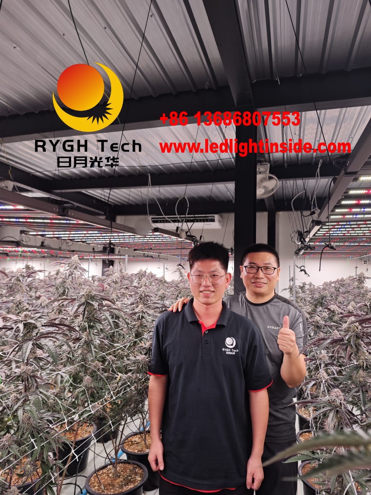 1.8m 1100w 10 bars led grow lights