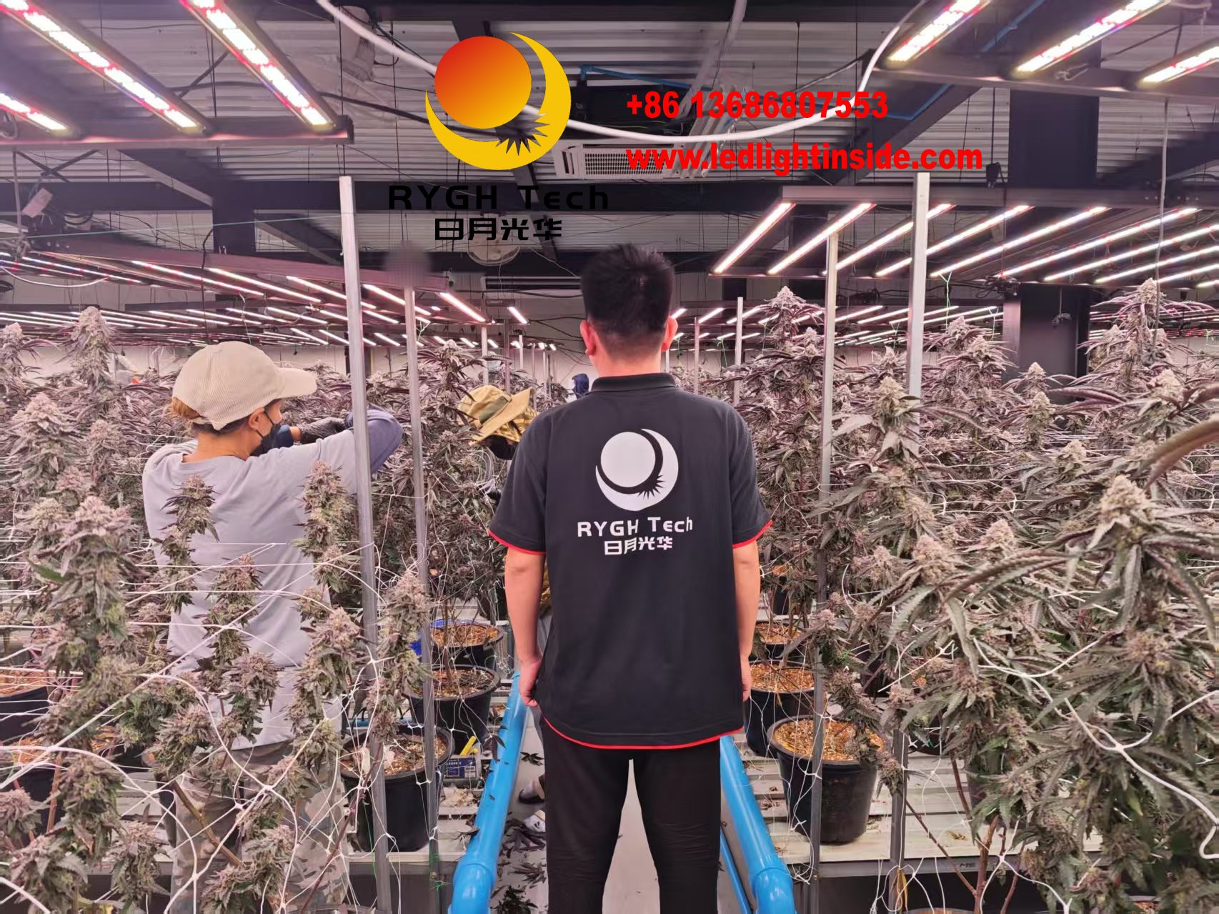 1.8m 1100w 10 bars led grow lights 2