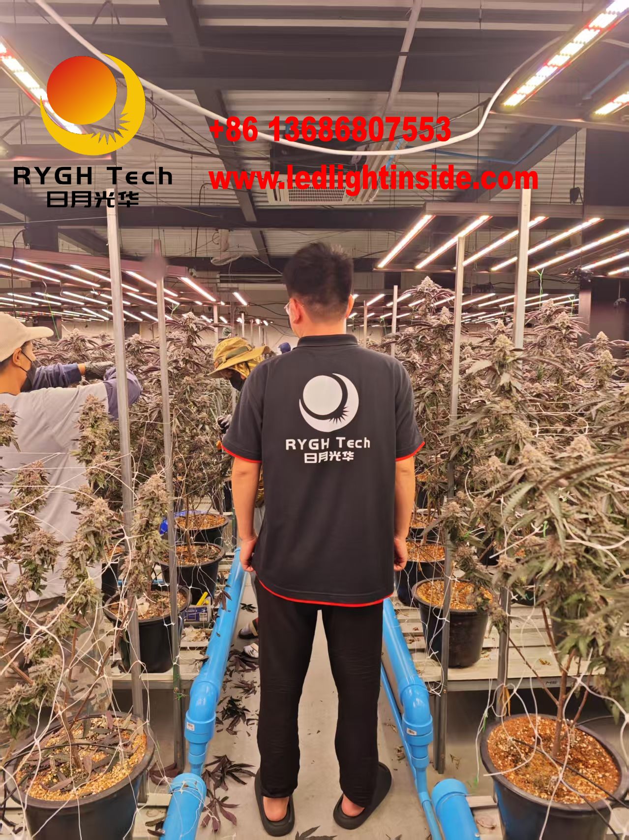 1.8m 1100w 10 bars led grow lights 3