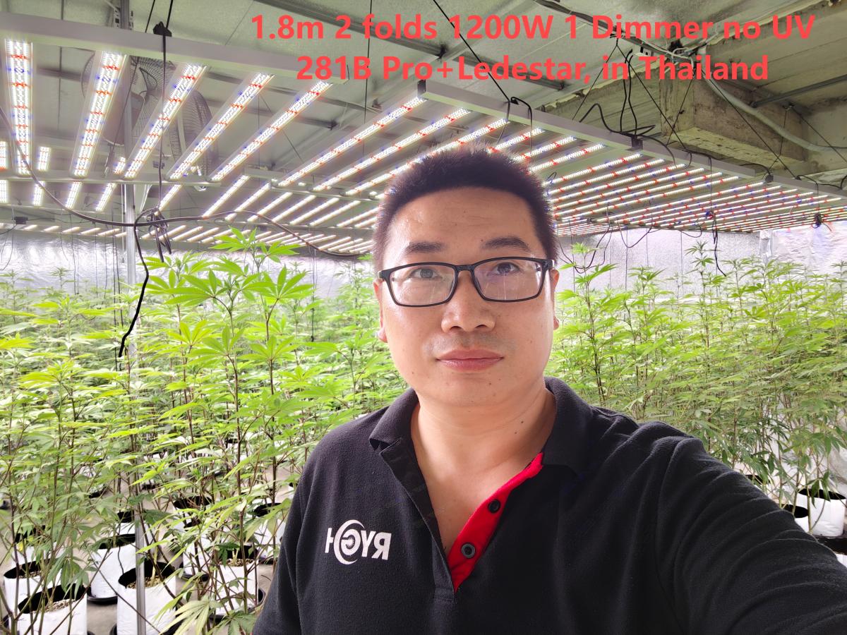 1.8m 1200W LED Grow Light 1