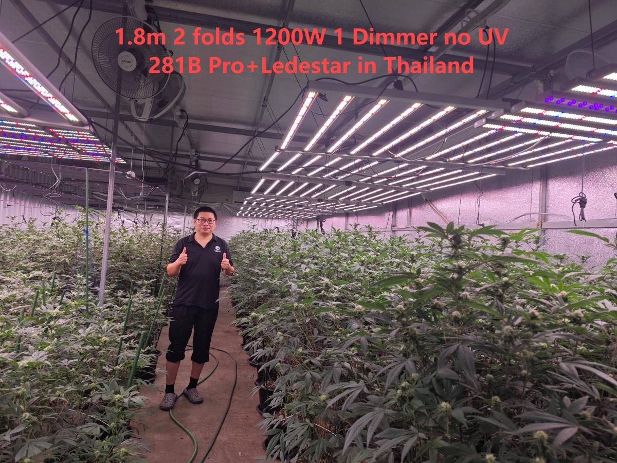 1.8m 1200W LED Grow light 281B Pro no UV 2