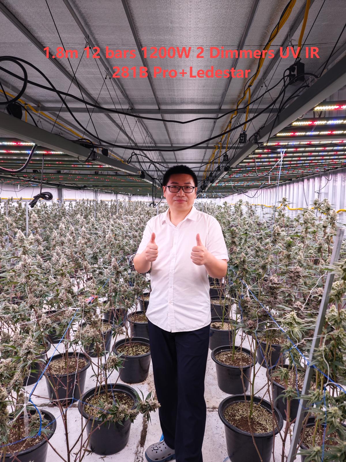 1.8m 1200W UV IR LED Grow light