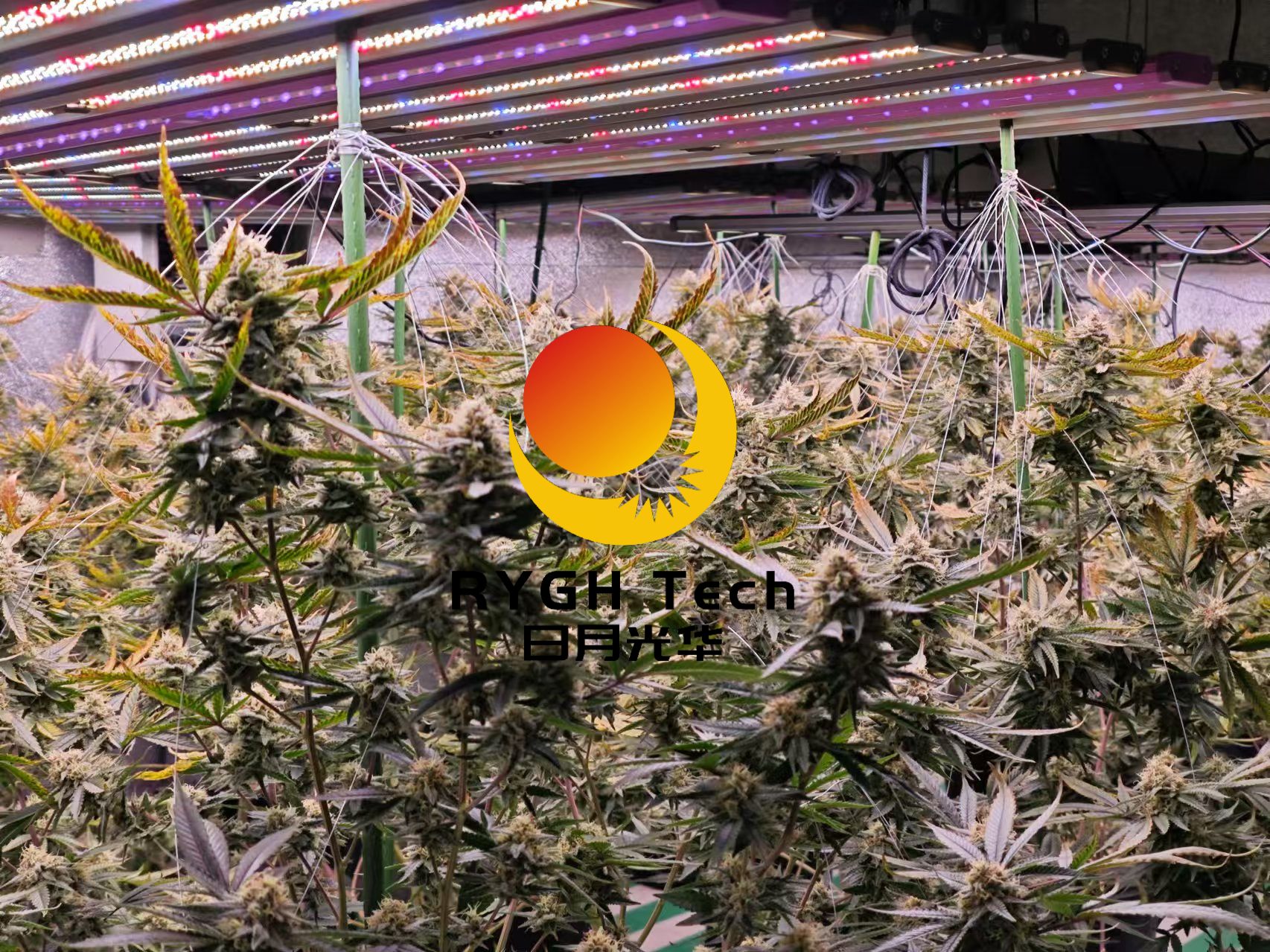 1060w led grow light 8