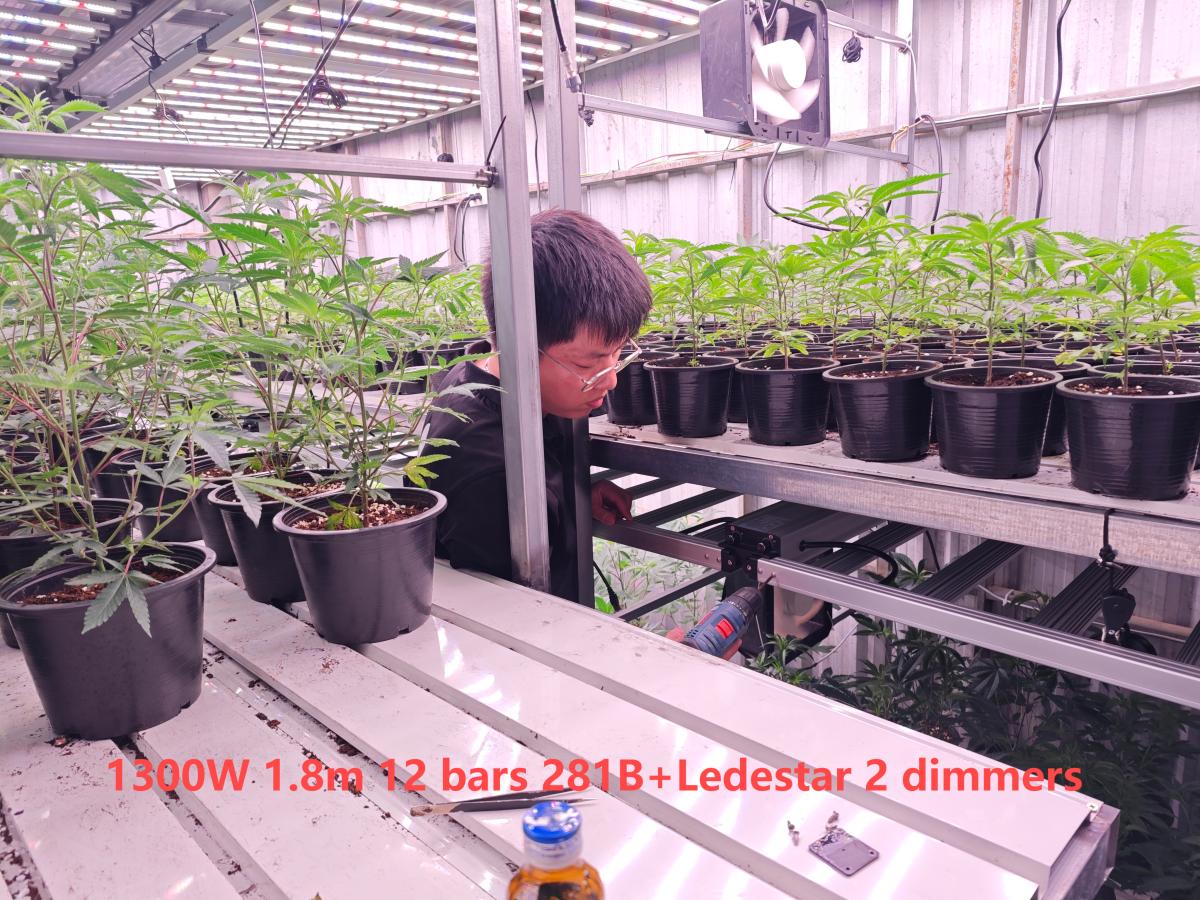 1300W 1.8m 12 bars 281B+Ledestar 2 dimmers 2