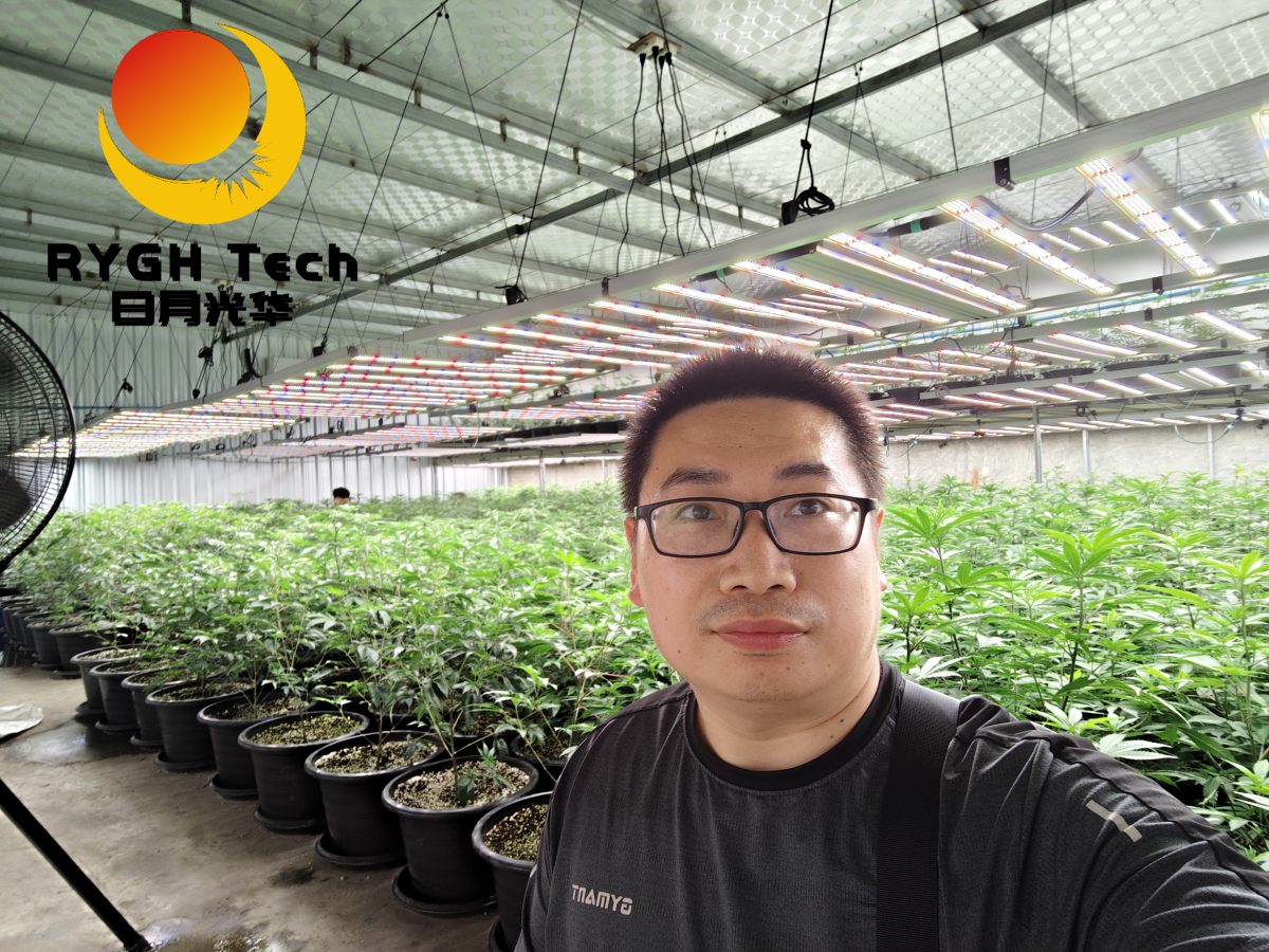 2.4m 12 bars 1200W no UV 10