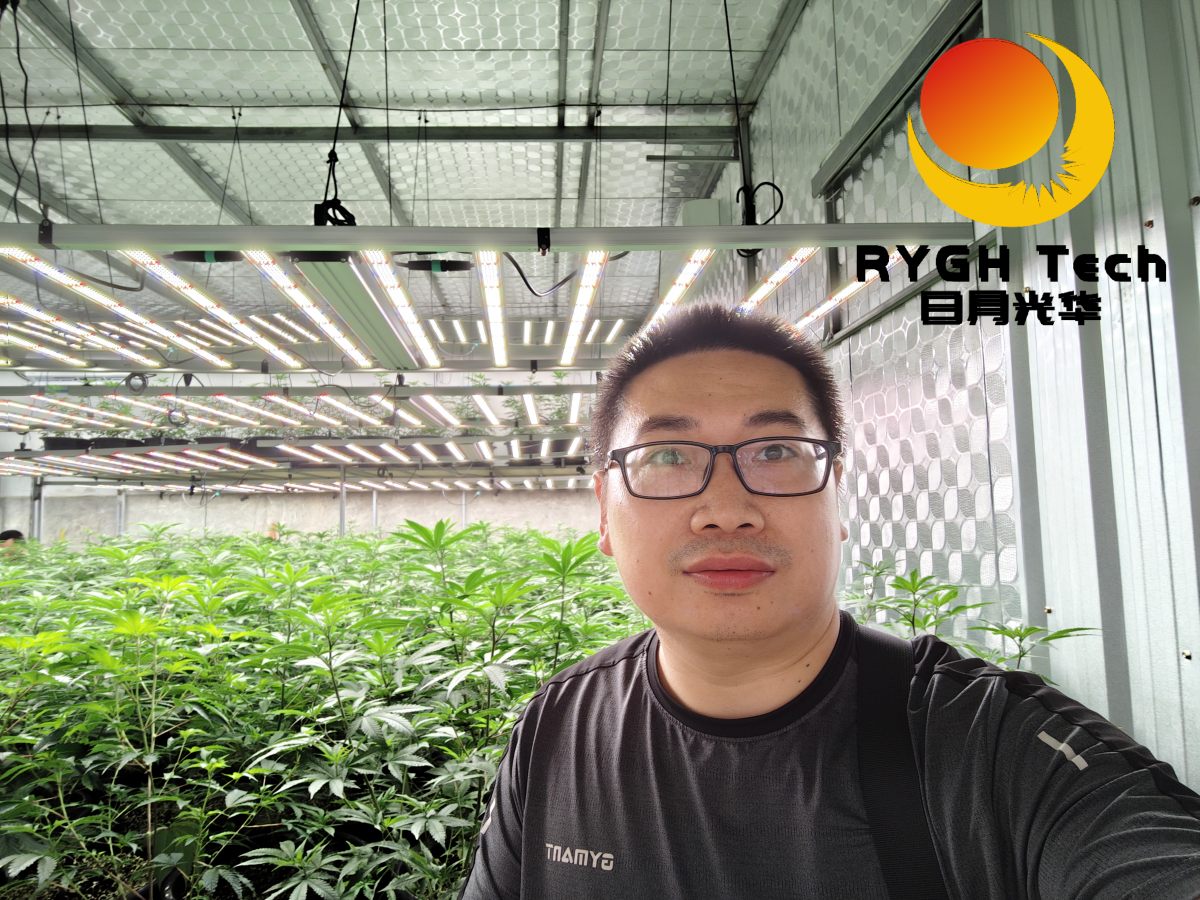 2.4m 12 bars 1200W no UV 11