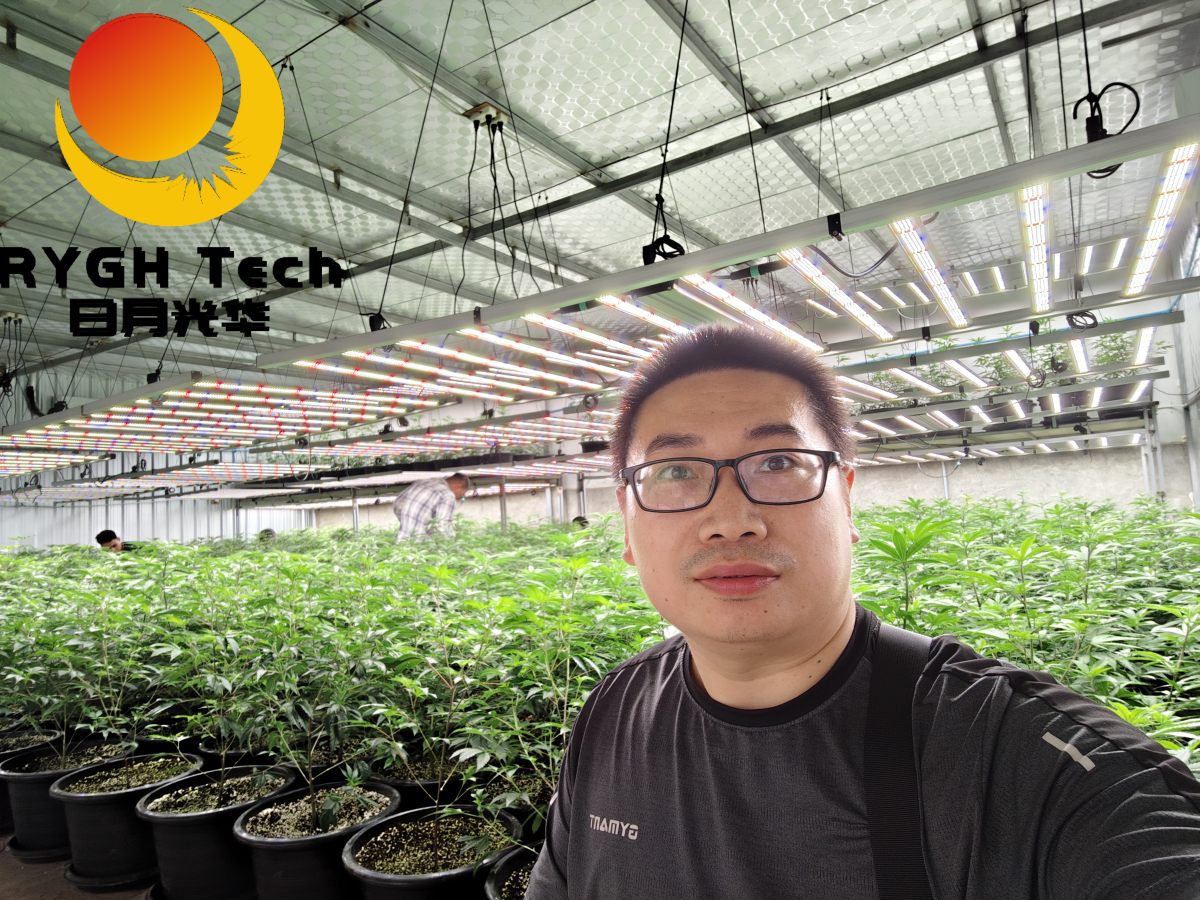 2.4m 12 bars 1200W no UV 12