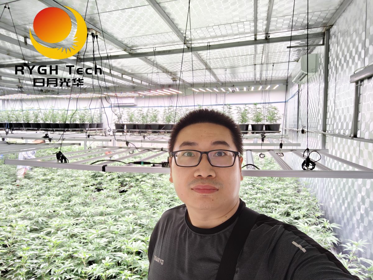 2.4m 12 bars 1200W no UV 14