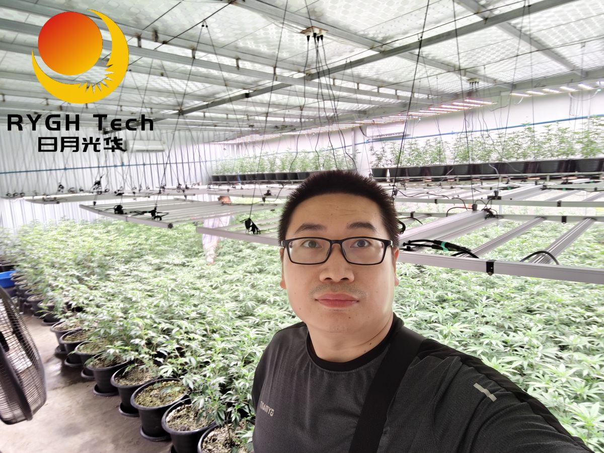 2.4m 12 bars 1200W no UV 15