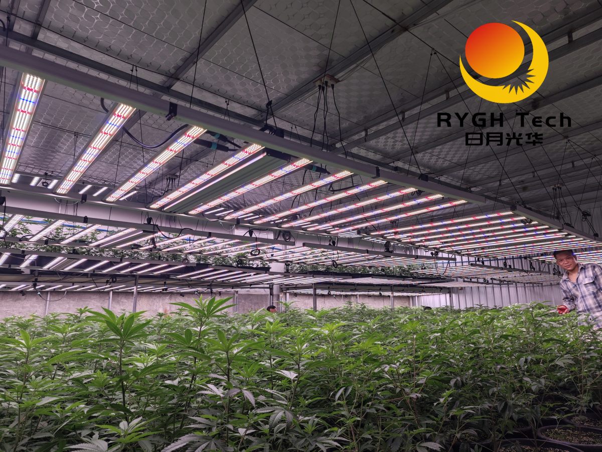 2.4m 12 bars 1200W no UV 16