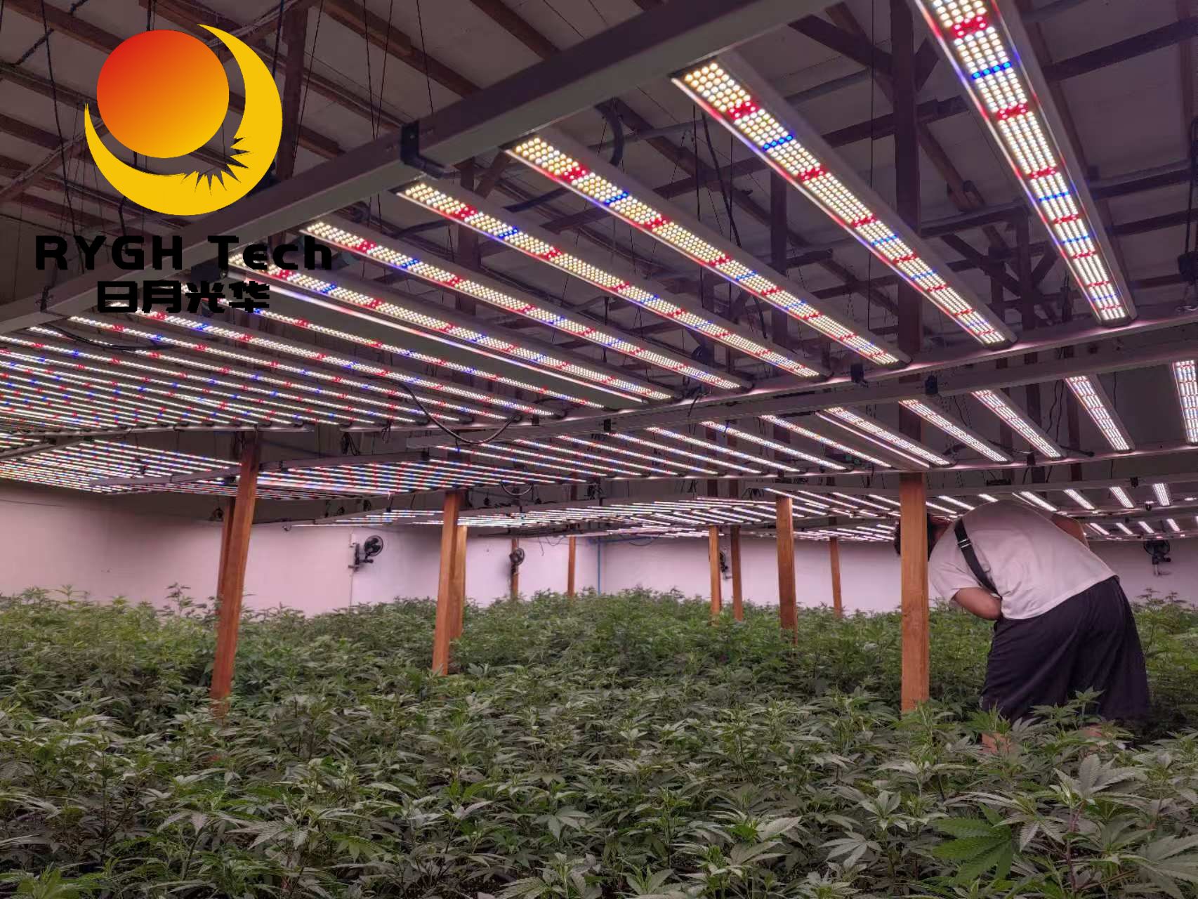 2.4m 12 bars 1200W no UV 7