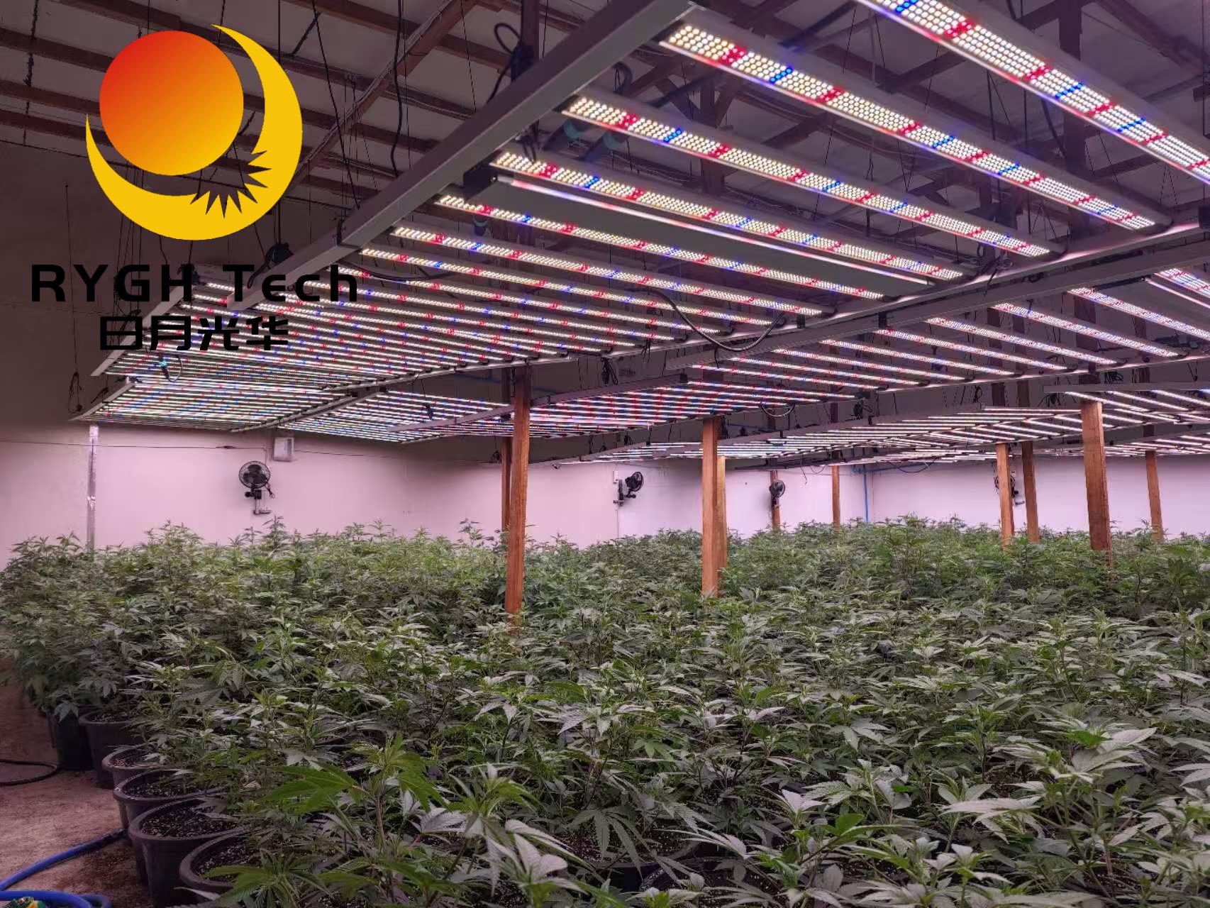 2.4m 12 bars 1200W no UV 8