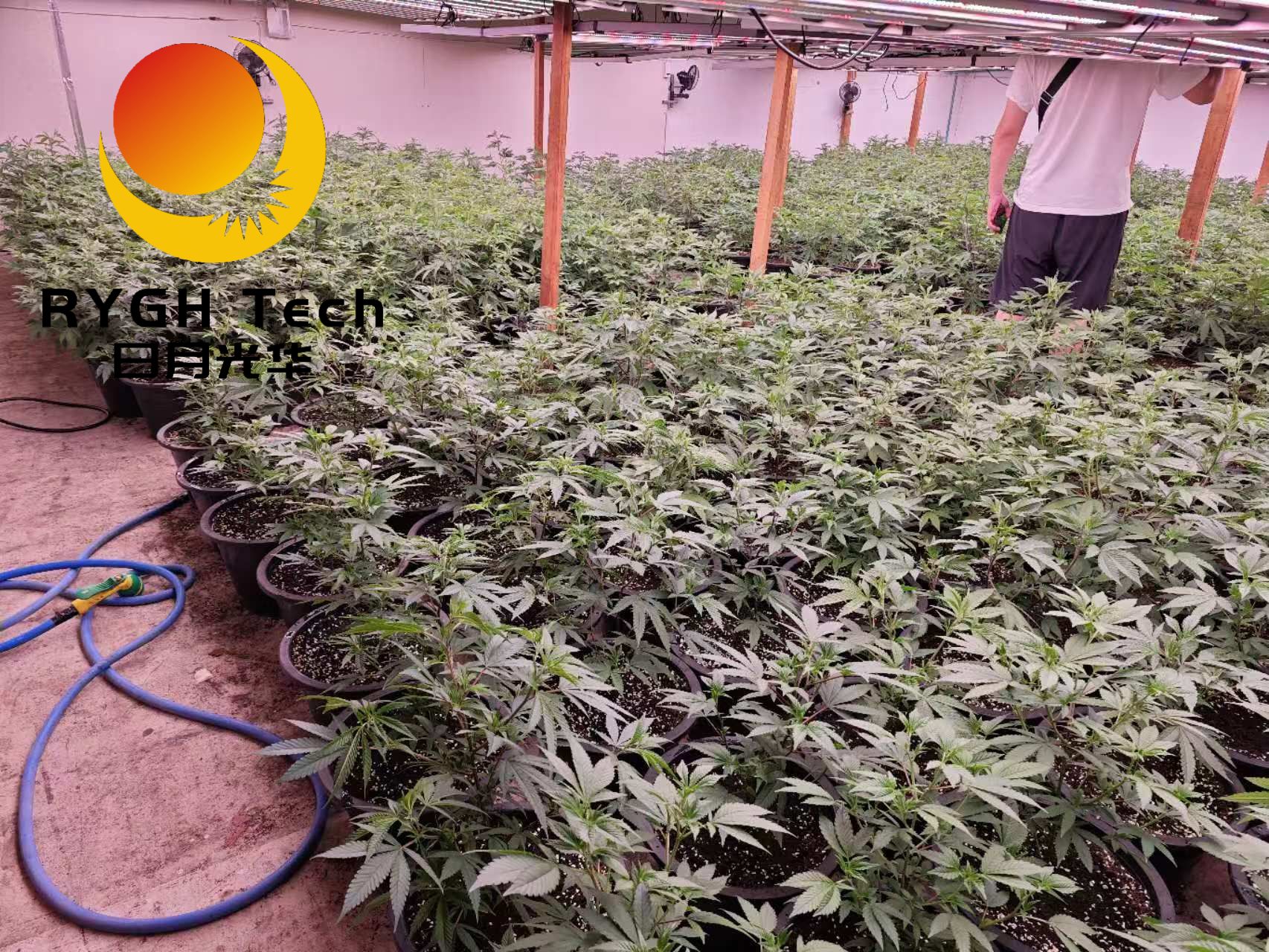 2.4m 12 bars 1200W no UV 9