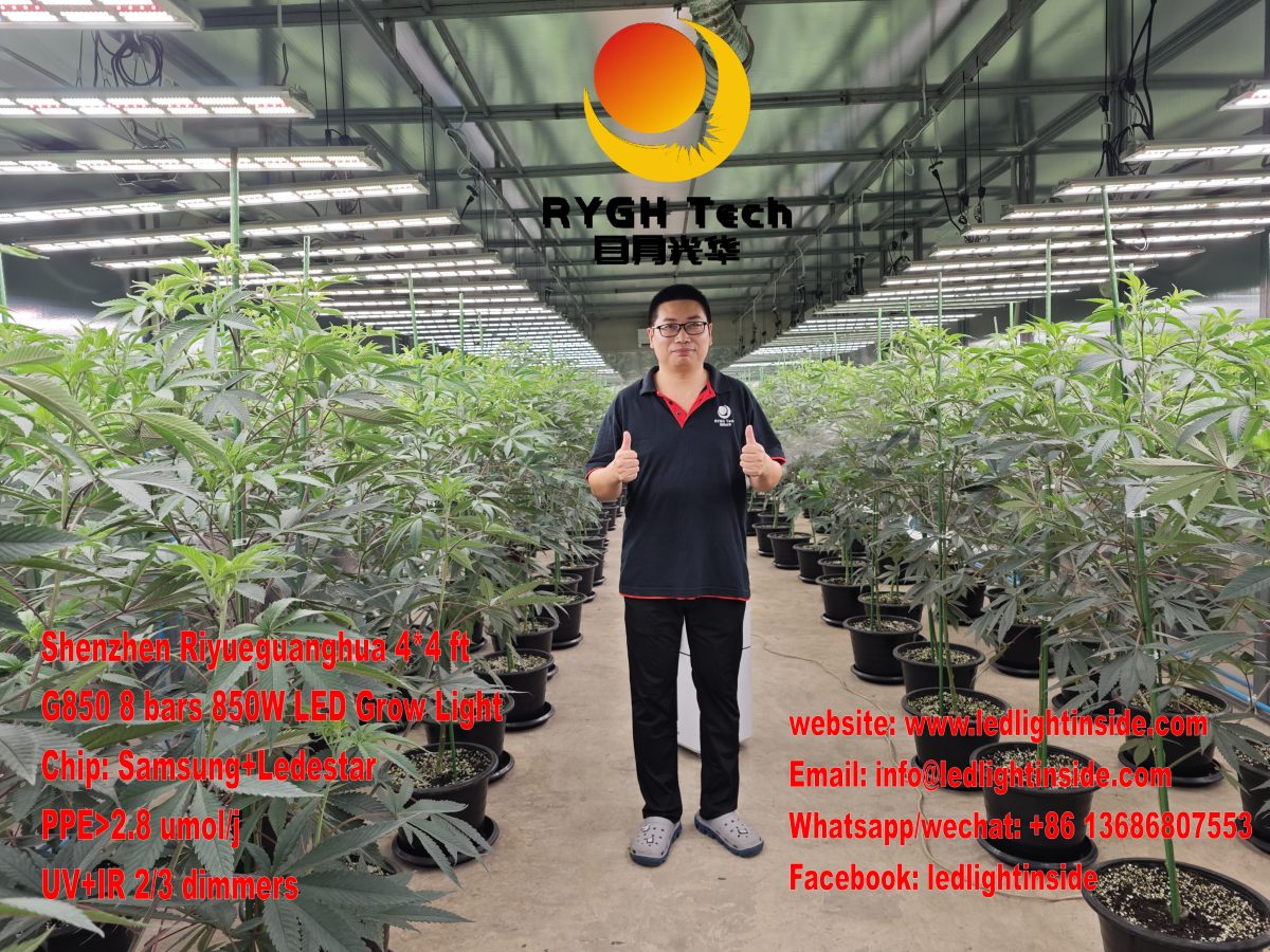 G850 8 bars 850W LED Grow Light 1