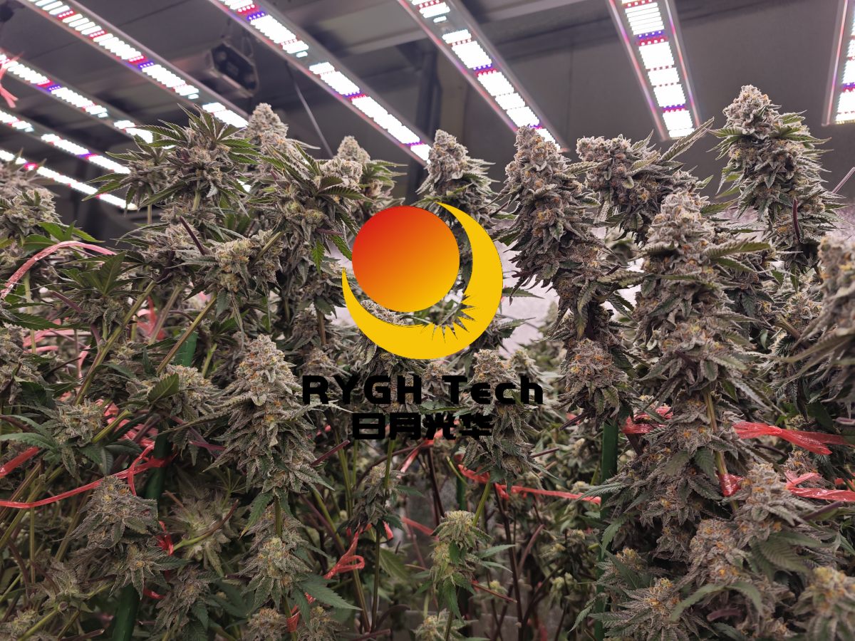 G850 8 bars 850W LED Grow Light 3