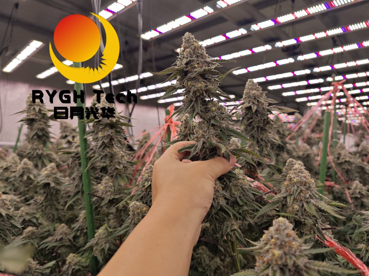 G850 8 bars 850W LED Grow Light 4